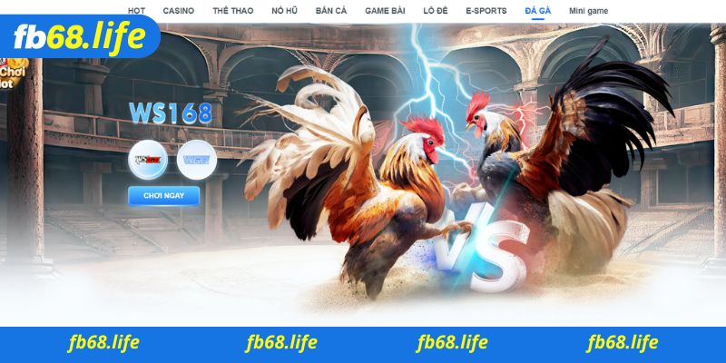 Hướng dẫn  cách rút tiền Fb68 trên máy tính của người chơi